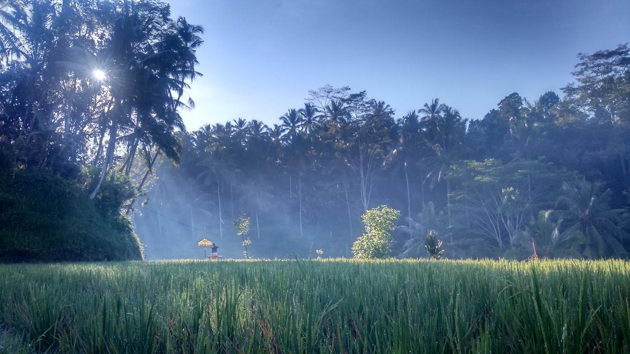 Hotel Griya Sriwedari Ubud Exterior foto