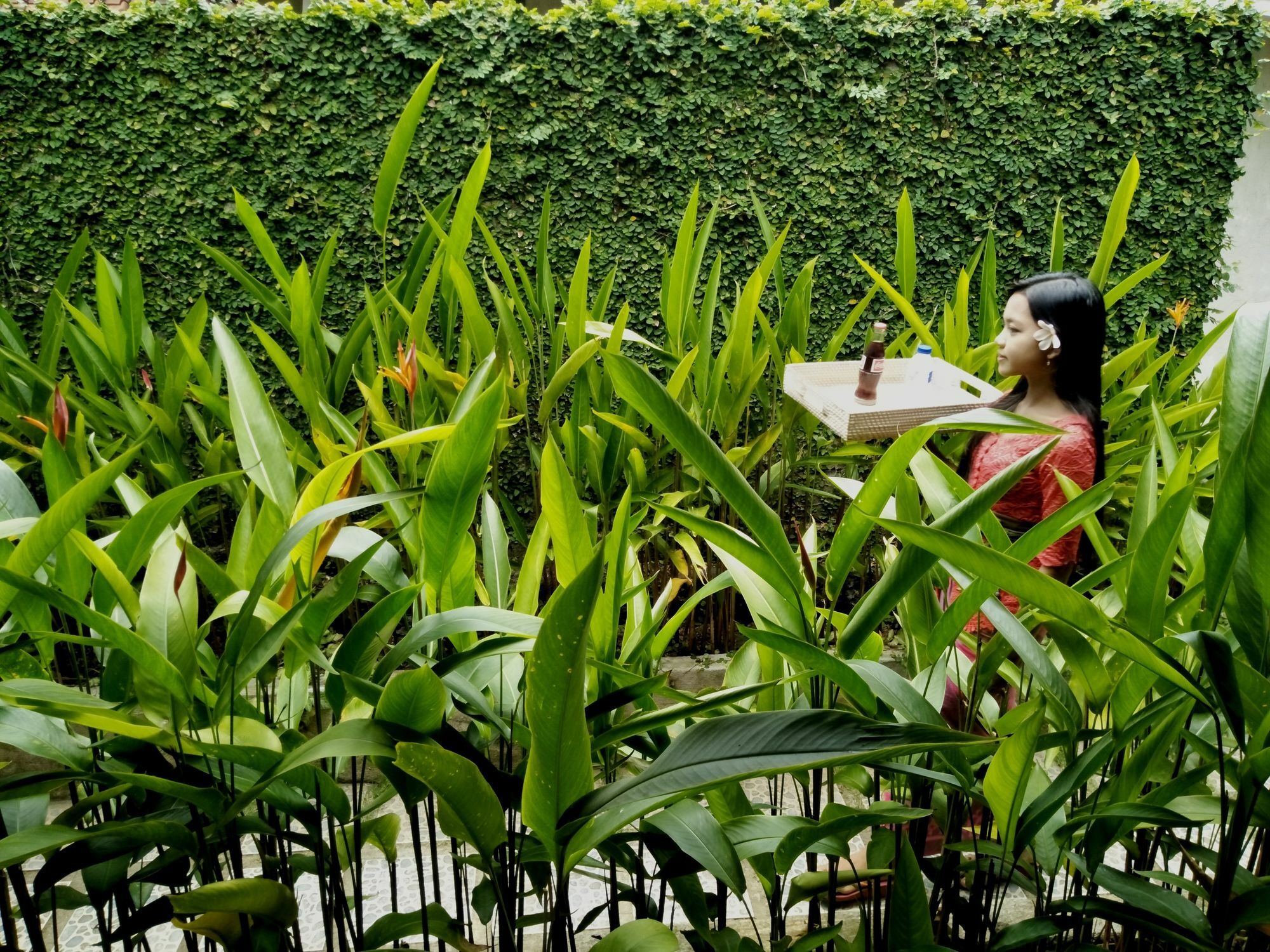 Hotel Griya Sriwedari Ubud Exterior foto